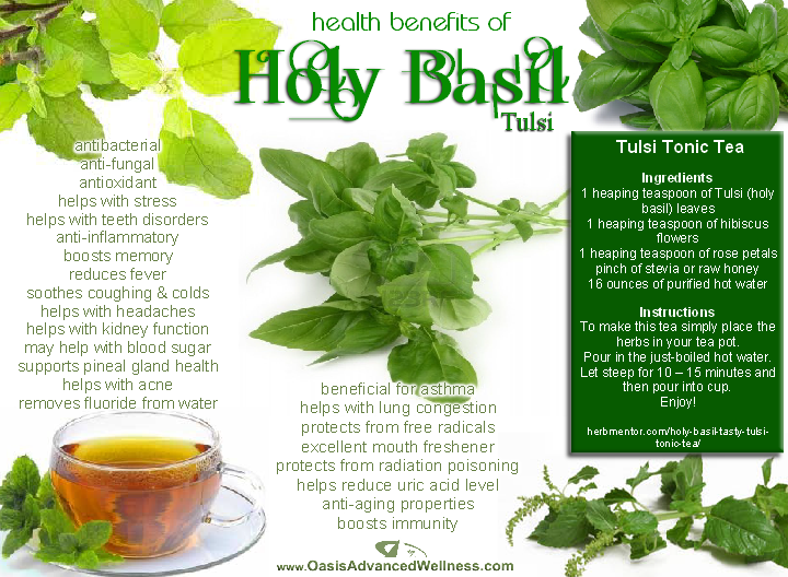 HOLY BASIL REMOVES FLORIDE FROM WATER Melg Group